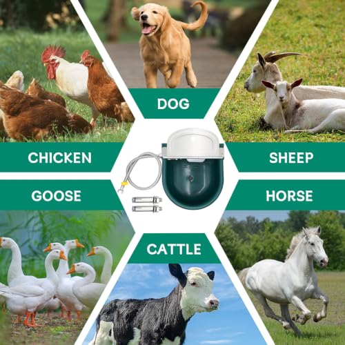 Automatic Water Bowl, Livestock Waterer for Cattle Dog Horse Goat Sheep