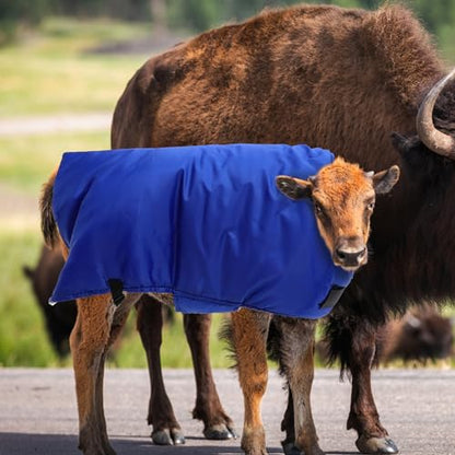 TEHAUX Goat Blanket, Sheep Blanket Livestock Shelter Windproof Goat Coat Warmming Thickened Calf Blanket for Calf Goat Horse Sheep - 108 * 85cm/42.44 * 33.41inch (Random Color)