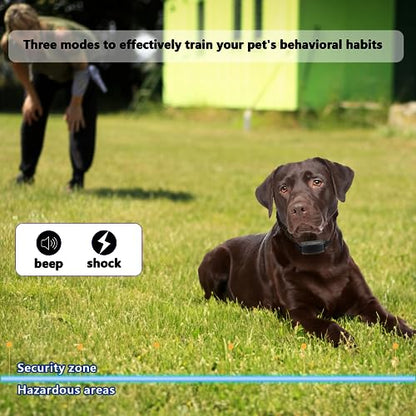 Basic In-Ground Pet Fence - Underground 2 Dog Fence System, Electric Fence for Dogs Waterproof Training 2 Collars for Dog Over 20lb, Wireless Electric Dog Fence System (2 Dog System)