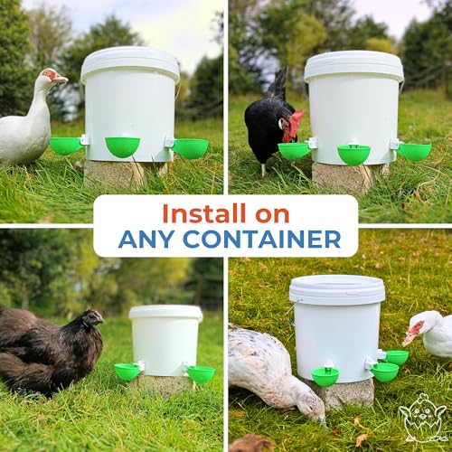 Lil'Clucker - Large Automatic Chicken Waterer Cups Suitable for Ducks, Geese, Turkeys, and Bunny Rabbit - Water Feeder Kit - Poultry Waterer (Green, 8 Pack) - color: Green, size: 8 Pack