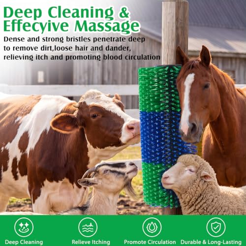 3 Pack Livestock Scratching Brush, Blue and Green - color: Blue and Green