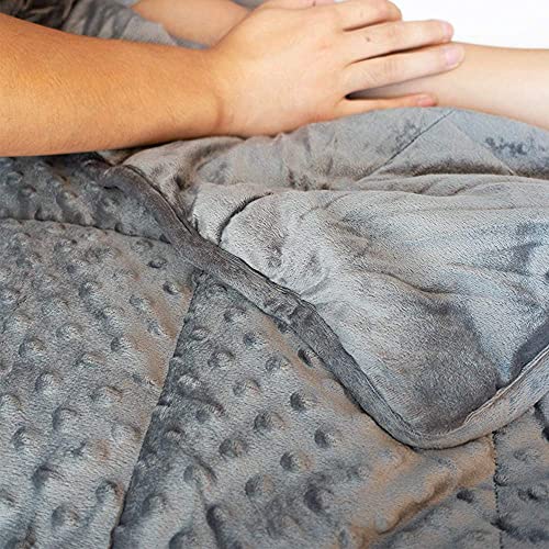 ALANSMA Reversible Weighted Blanket for All Season, Luxury Velvet, Warm and Cool, Adult 5Lb Grey Weighted Blanket, Enjoy Sleeping Anywhere(Grey,35"x48" 5.5lbs) - color: Grey, size: 35''x48'' 5.5lbs