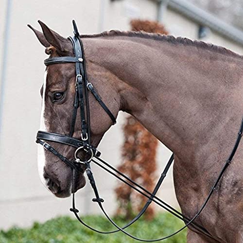 Horse Rein Elastic Neck Stretcher Adjustable Rope for Horse Training Aid Alternative to Side Reins 9.8ft