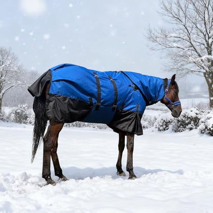 Horse Turnout Blanket, with NeckCover & Belly Wrap,Waterproof, 300g Filling - size: US82 in(EU 155 cm)