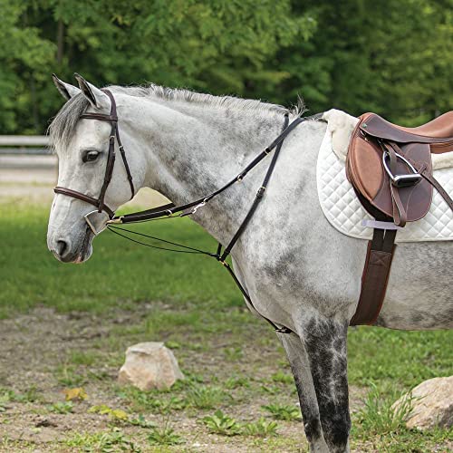 Billy Royal German Martingale | Effortless Headset Training | Durable Mountain Climbing Rope | Includes 7' x 3/4" Wide Split Reins | Brass and Stainless Hardware | Dark Oil Leather Finish