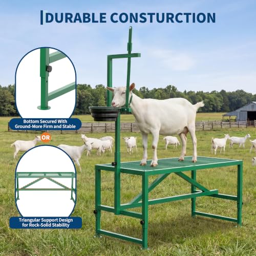 Garvee 600LBS Goat Stand with Feed Bin and Headpiece–Milking Shearing Stand - color: Green-47 Inch
