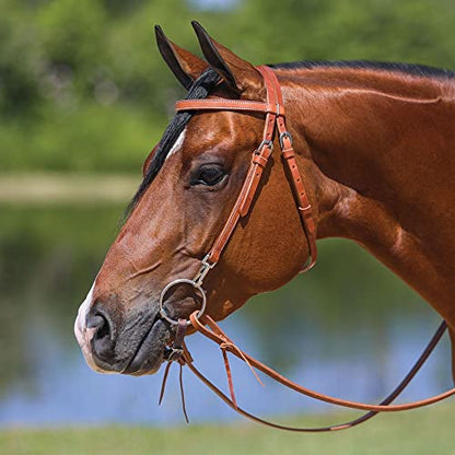 Schneiders Browband Training Bridle with Quick Change Snaps | Ideal for Everyday Riding | Supple Leather | Easy Bit Changes with Chrome Plated Snaps | Adjustable Fit for Most Horses | Size Full Horse