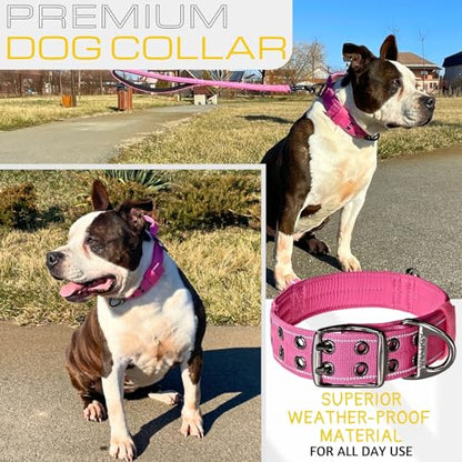 ADITYNA Heavy Duty Pink Dog Collar for Medium Dogs with Traffic Handle - color: Pink, size: Medium: Fit 15-19" Neck