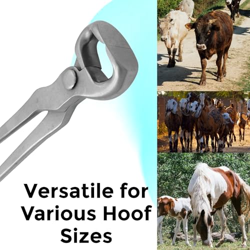 15" Curved Hoof Nipper, Carbon Steel & Chrome Vanadium Farrier Tool for Horses – Durable, Sharp & Rust-Resistant - size: 15"Curved Hoof Nipper
