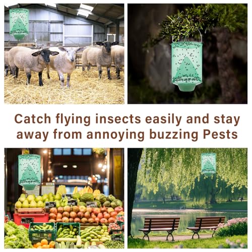 6 Pack Hanging Ranch Fly Traps, Reusable Fly Catcher, The Most Efficient Fly Cage Trap for Indoor & Outdoor Use, Ideal for Family Farms, Parks, Restaurants
