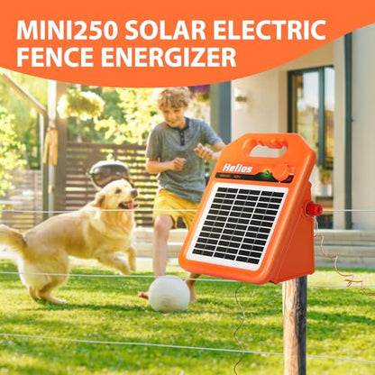 ANDMON MINI250 15 Miles Solar Electric Fence Charger, 0.25 Joule Solar Fence Charger for Livestock, Pigs, Horses, Cattle Sheep, Solar Powered Electric Fence with Day or Night Mode, Easy Installation - size: MINI250