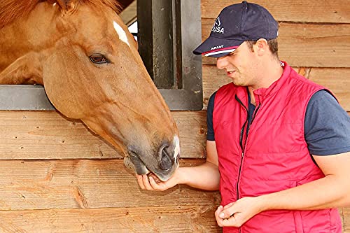 Kelcies Pumpkin Spice Horses Treats - Low Sugar, Starch, and Carbohydrates | Healthy Treats for Horse Supports Superior Digestion 15 Pound Bucket (Pack of 1) - size: 15 Pound (Pack of 1)