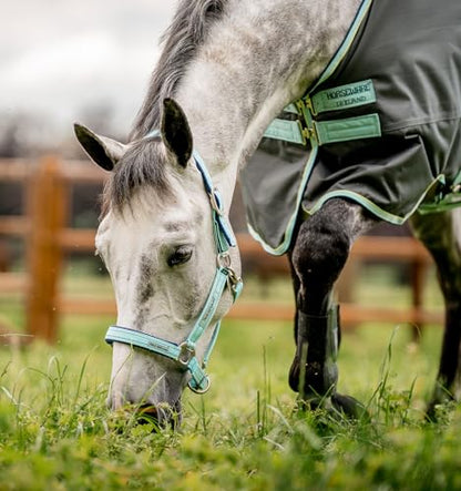 Horseware® Fieldsafe Halter - color: Blue Haze, size: Pony