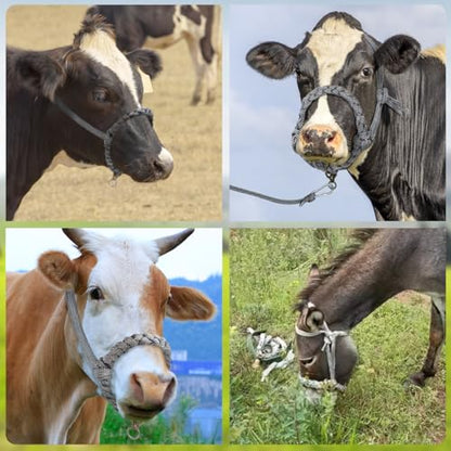 La La Pet Adjustable Cattle Halter Hand Braided Livestock Leading Rope Farm Training Supplies Handling Equipment for Calf Cows Horses Donkeys Goats Foals 0.47Inch Collar - size: 0.47"Collar