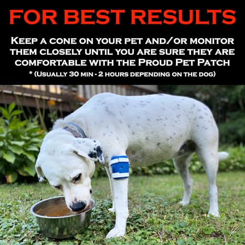 Proud Pet Patches Dog Bandage for Wound Care w/Peep Hole Cover. Bandages for Dog Hot Spots, Lick Granuloma, Stitches and Wounds. Self Adhesive Wrap Works for Paw, Tail, Legs, Foot for Dogs & Cat - size: Extra Small