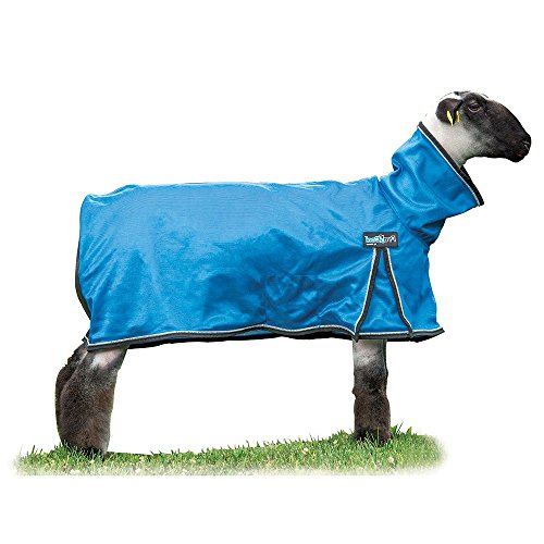 Weaver Leather Livestock ProCool Mesh Sheep Blanket with Reflective Piping