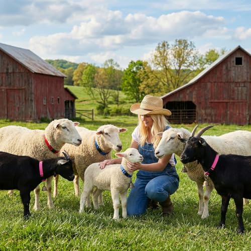 4 Pack Sheep Grazing Copper Bells & Adjustable Nylon Collar Set