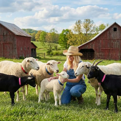 4 Pack Sheep Grazing Copper Bells & Adjustable Nylon Collar Set