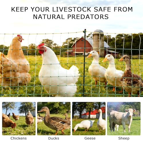 Electric Poultry Netting, 47.2"H x 164'L Electric Chicken Fence Netting | for Chickens, Ducks,Turkeys, Sheep, Geese in Yard, with Posts & Double-Spiked Stakes Farms,Backyards, Garden