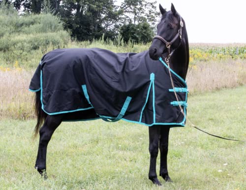 Winter Horse Blanket 300GSM 600 Denier (Waterproof/Breathable/Snow Proof) Turnout Blanket | Heavy Winter Blanket (80, Black with Turquoise Trims) - size: 80