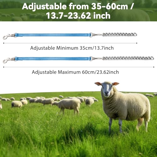 Misdary 2 Pcs Goat Show Collars Adjustable 14" Chain, 14'', Blue - color: Blue