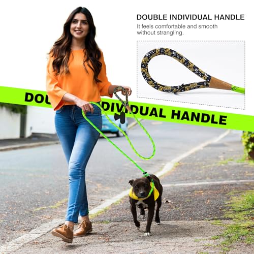 lynxking Dog Leash 3/8in x 6ft Slip Lead Reflective Blue and Green, 2 Pack