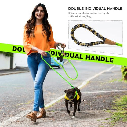lynxking Dog Leash 3/8in x 6ft Slip Lead Reflective Blue and Green, 2 Pack