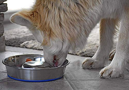 OurPet's DuraPet Slow Feed Stainless Steel Dog Bowl, Silver, Large - size: Large (6 Cups)