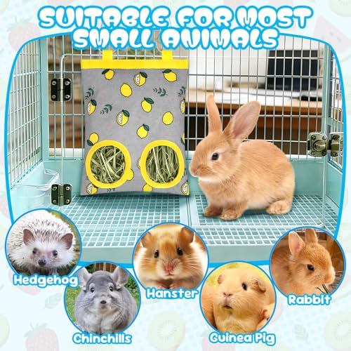 3 Pack Rabbits Hay Feeder Bag, 2 Holes Hanging Bunny Hay Feeder Guinea Pig Feeding Bag Storage Dispenser for Bunny Rabbits Chinchillas Hamsters Small Pets and Animals - color: Blue Green Yellow