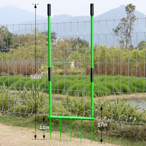 56'' Heavy Duty Broadfork for All the Soils, Detachable Pitchfork, 5 Sharp Cambered 11'' Tines Bord Fork Garden Tool, Ergonomic Handles, Good Package, Easy Assembly, Cultivator & Tiller, Green.