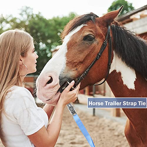 Rosemarie Trailer Cross Tie, Horse Haulage Adjustable Nylon Straps Leads with Panic Snap Fixed Eye Equestrian Equipment - color: Blue