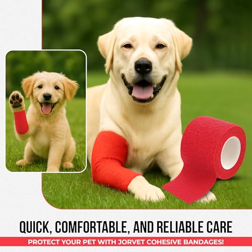 JorVet 2" x 5 Yards Cohesive Bandages | Fun Self-Adhesive Wrap for Animal Wound | Easy Tear, No Scissors Needed | Individually Wrapped Vet Tape, Secure & Flexible | Brilliant Red | Pack of 12
