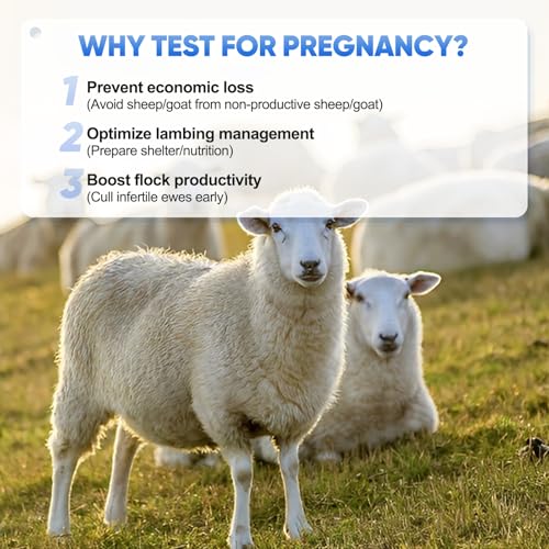Sheep/Goat Pregnancy Test –5 Pack Ewe Pregnancy Urine Test Strips