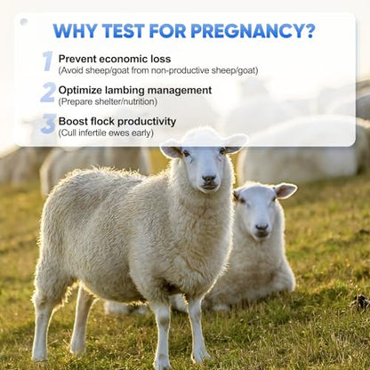 Sheep/Goat Pregnancy Test –5 Pack Ewe Pregnancy Urine Test Strips