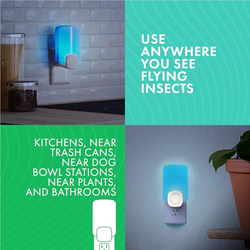 STEM Insect Light Trap Refill Cartridges, Indoor Fruit Fly Trap, Insecticide-Free Pest Control for Home, Attracts and Traps Flying Insects, Official STEM Refills - 3 Count