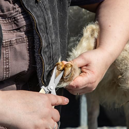 PEUTIER Goat Hoof Trimmers, Stainless Steel Hoof Trimming Tool with Spring Hooves Shears Sheep Nail Clippers for Pig, Horse, Livestock