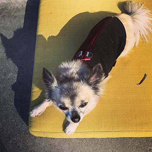 Gooby Zip-Up Fleece Dog Sweater, Black, Small - color: Black, size: Small chest (~13.5")