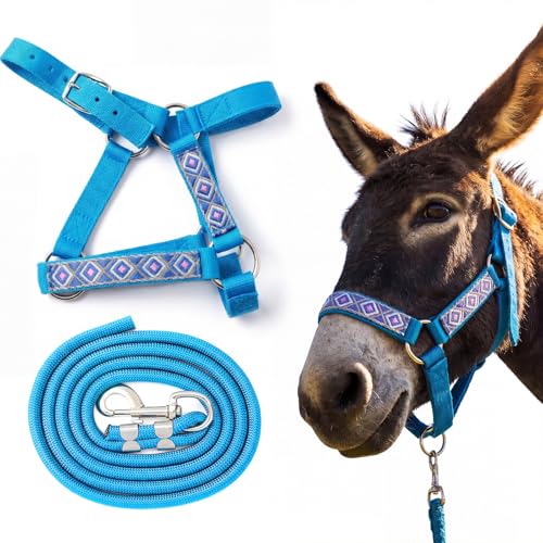 1 Set Mini Donkey Halter with Lead Rope Adjust, Lake Blue - color: Lake Blue