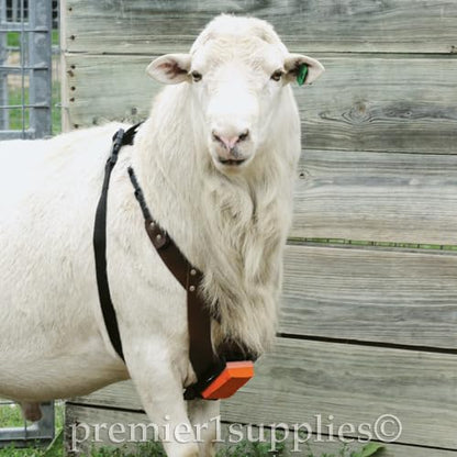 Premier 1 EZ-Mark Harness Crayon for Sheep & Goat Marking – Orange - style: Orange Crayon