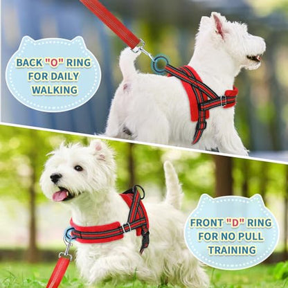 SlowTon No Pull Small Dog Harness and Leash Set with Front Clip | Soft Padded, Neck & Chest Adjustable, Lightweight, Anti-Twist, Puppy Vest Harness Pet Lead Combo for Small Medium Dog, R S - color: Red, size: Small