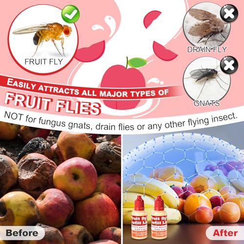 Qualirey 12 Pack Fruit Fly Trap Refill Liquid, 0.68oz/ Bottle (Red)