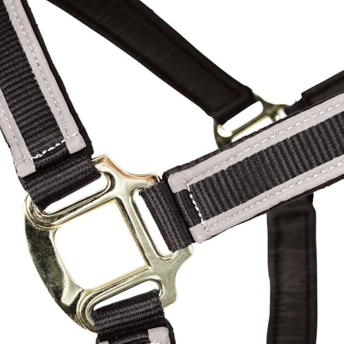 Schneiders Padded Reflective Breakaway Halter for Horses | Adjustable Fit | Safety Leather Tab | Night-Time Visibility - size: Oversize