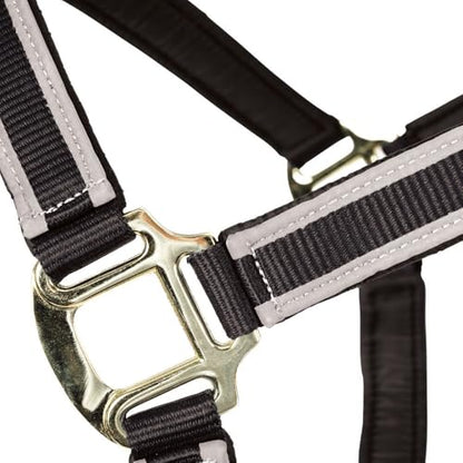 Schneiders Padded Reflective Breakaway Halter for Horses | Adjustable Fit | Safety Leather Tab | Night-Time Visibility - size: Oversize