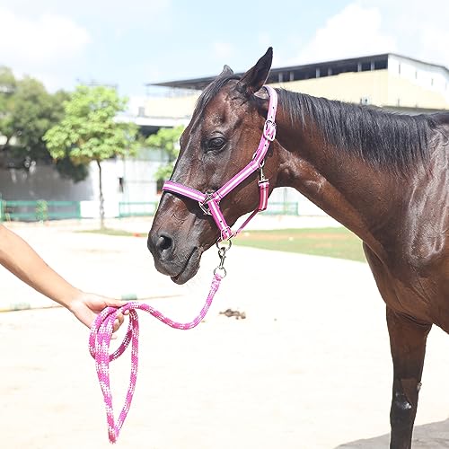Adjustable Horse Halters - Heavy Duty Nylon Webbing & Hardware, Padded with Anti Chafing Foam-Cushioned on Crown & Nose - color: Rose Red, size: Cob