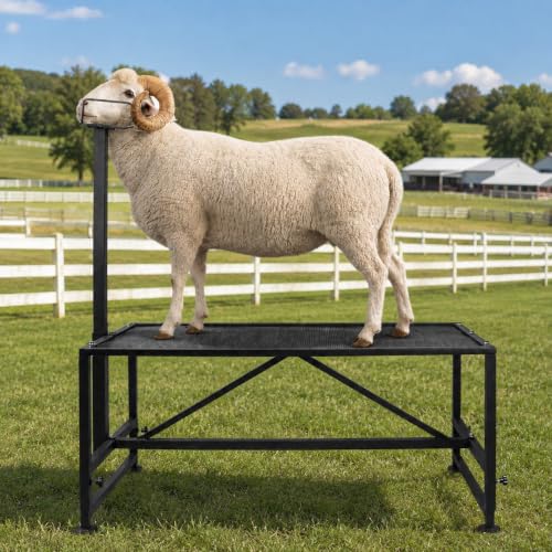 Farm Adjustable Sheep Goat Fitting Stand 47" x 23" Heavy Duty Steel Livestock Care Table for Shearing Trimming Milking