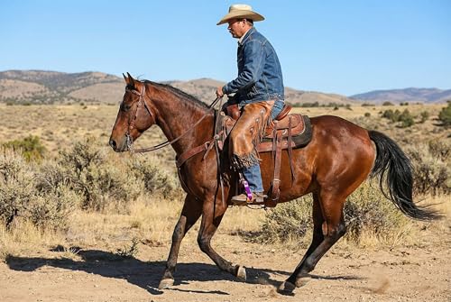CHALLENGER Horse 4-3/4" Western Saddle Barrel Racing Lightweight Aluminium Stirrups 5181 - color: Pink Tan Leather Tread