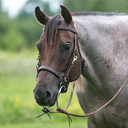 Schneiders Billy Royal Deluxe Trail Halter for Horses Bridle Combo | Convertible Halter/Bridle | Premium English Leather | Padded Comfort | Brass Hardware | Versatile Use