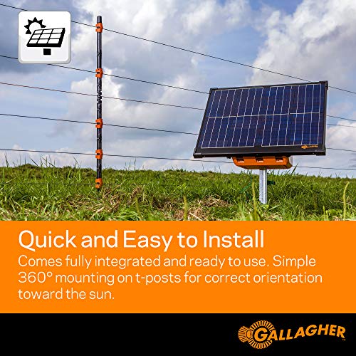 Gallagher S400 Solar Electric Fence Charger | 4.0 Joule Solar Powered Energizer | Powers Up to 60 Miles / 280 Acres of Fence | Livestock and Pet Containment | Battery and Leadsets Included