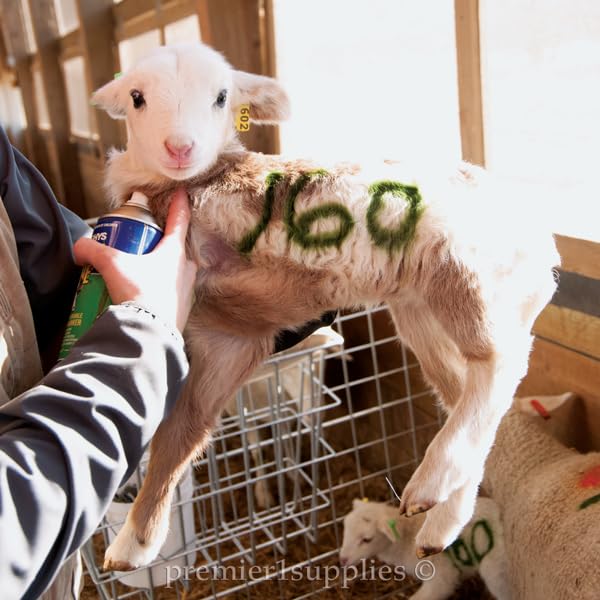 Sprayline Marking Paint for Sheep & Livestock (400mL - Green) - style: 400mL - Green