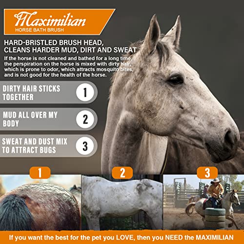 MAXIMILIAN Handmade Horse Brush Professional Horse Brushes for Grooming | 4cm Boar&PP Bristles,Beech Wood Brush Back,Double-Layer Belt,Horse Finishing Brush,Effective Remove Loose Hair Dust Dirt Mud